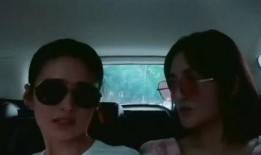 觅路爆料视频大全,揭秘热门视频背后的故事与真相